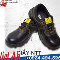 GIẦY NTT PRO D-15