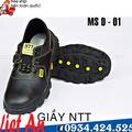 GIẦY NTT PRO D-15