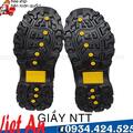 GIẦY NTT PRO D-15