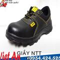 GIẦY NTT PRO D-15