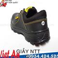 GIẦY NTT PRO D-15